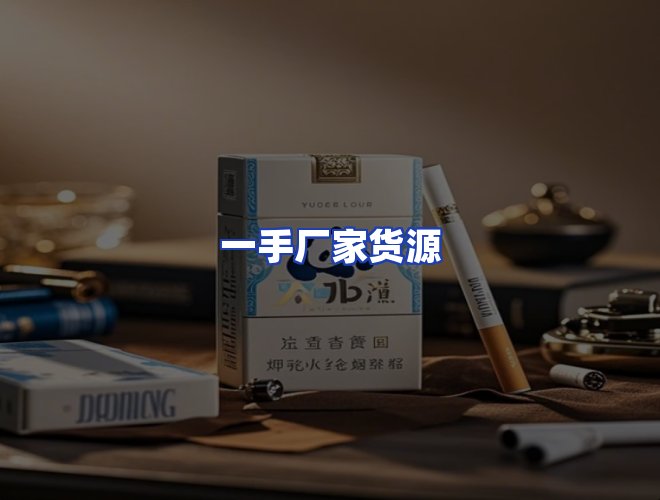 专业团队